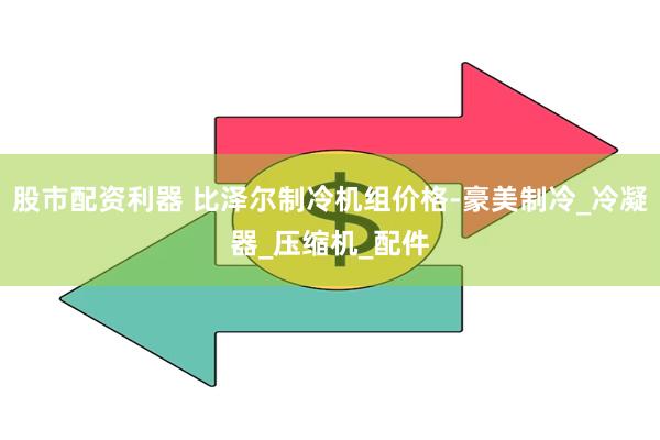 股市配资利器 比泽尔制冷机组价格-豪美制冷_冷凝器_压缩机_配件