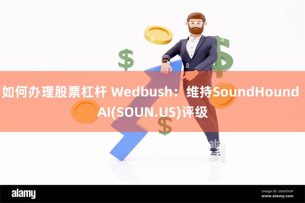 如何办理股票杠杆 Wedbush：维持SoundHound AI(SOUN.US)评级