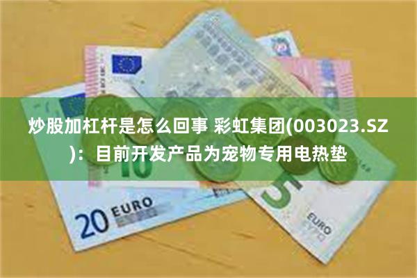 炒股加杠杆是怎么回事 彩虹集团(003023.SZ)：目前开发产品为宠物专用电热垫