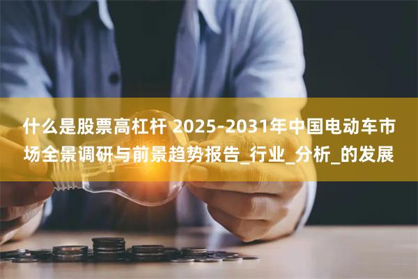 什么是股票高杠杆 2025-2031年中国电动车市场全景调研与前景趋势报告_行业_分析_的发展