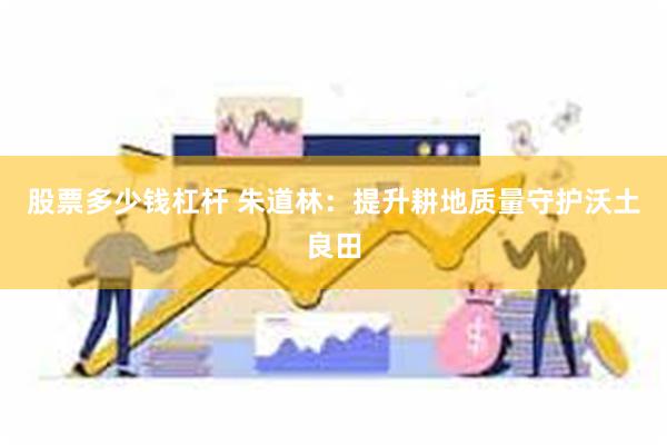股票多少钱杠杆 朱道林：提升耕地质量守护沃土良田